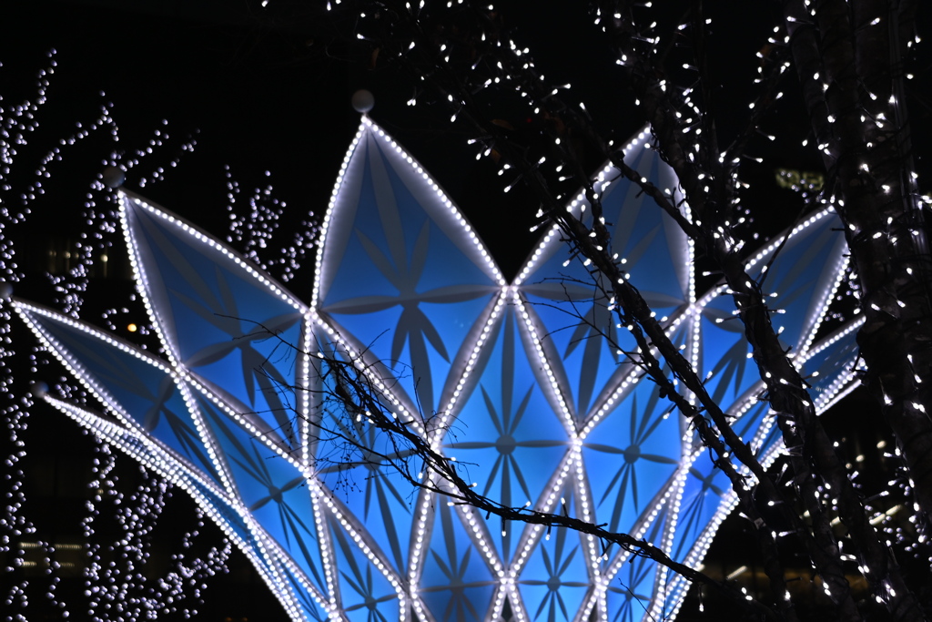 「イルミ2025」02