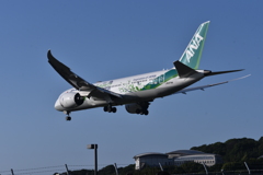 ANA 866