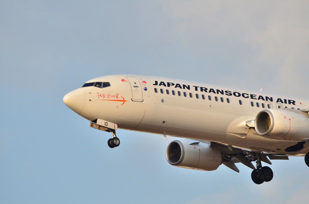 JAL 407