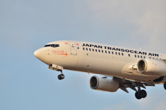 JAL 407