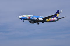 SKY 205