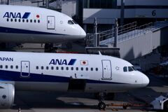 ANA 869