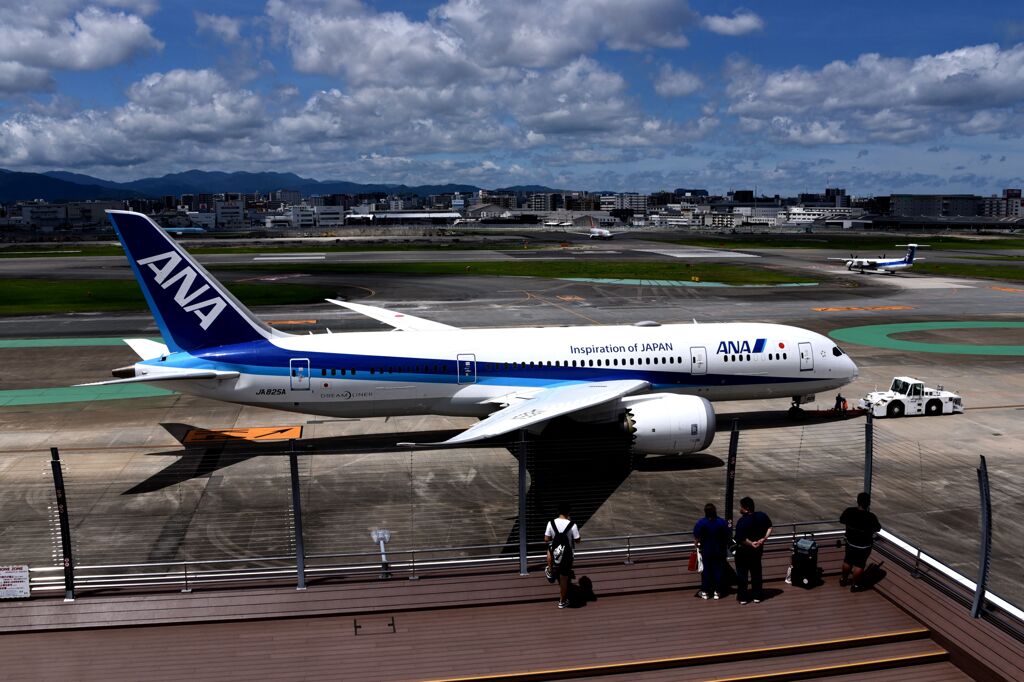 ANA 977
