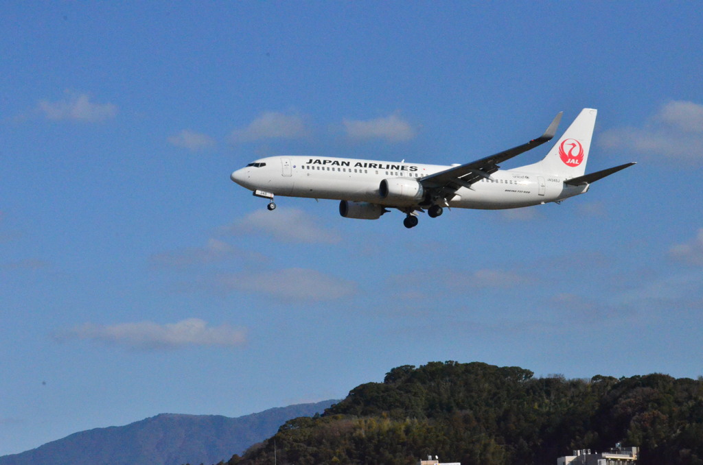 JAL 37