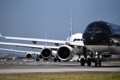 １「訳もなく　白を黒だと　決める妻」 SF 288