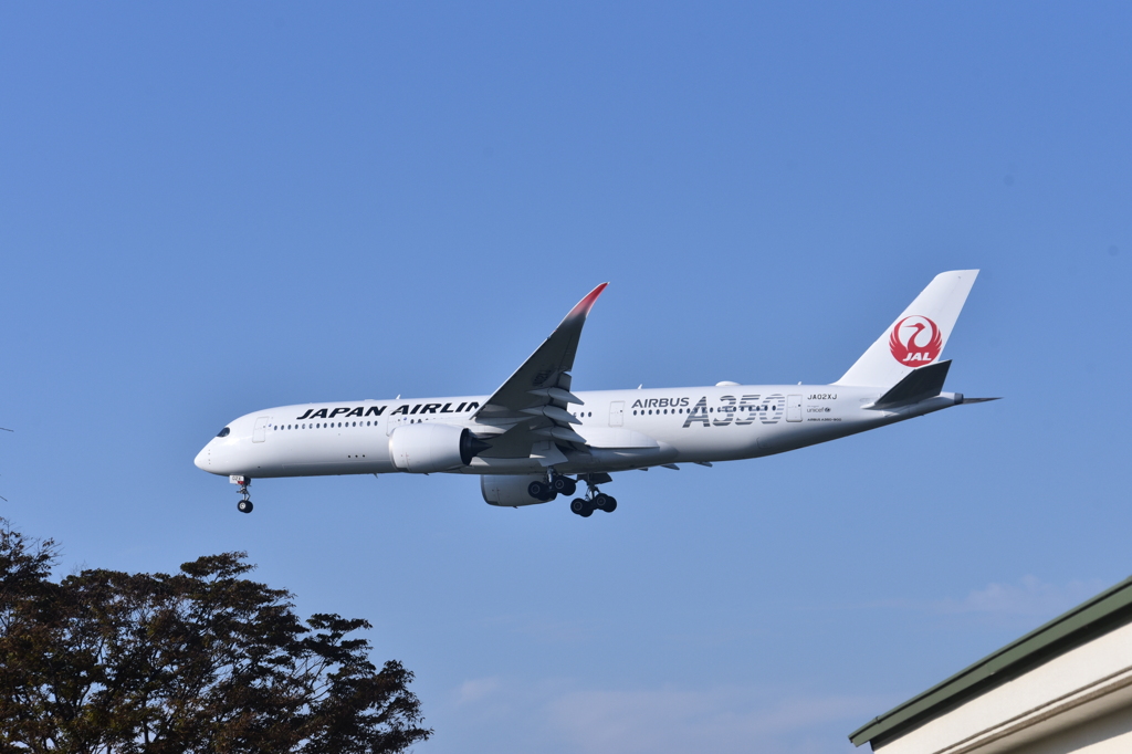 JAL 766