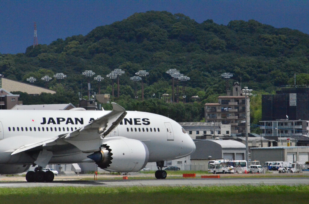 JAL 50