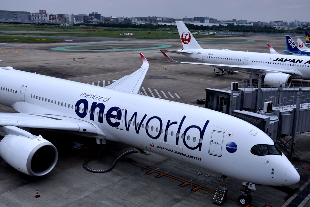JAL 1043