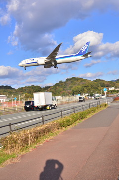 ANA 381