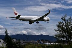 JAL 1285