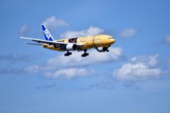 ANA 931