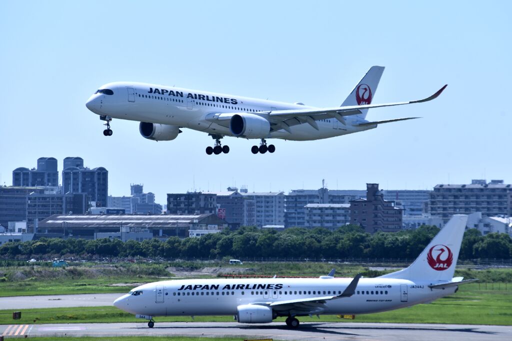 JAL 648