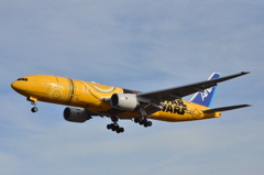 ANA 270  （特別塗装機）