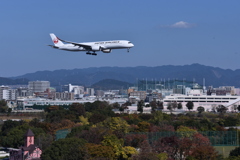 JAL 794