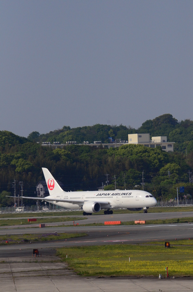 JAL 39