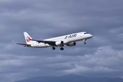 JAL 567