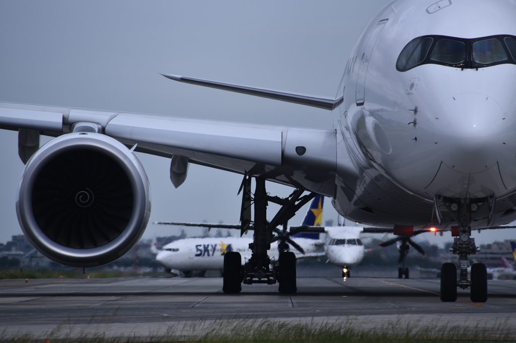 JAL 660