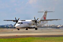 JAL 371