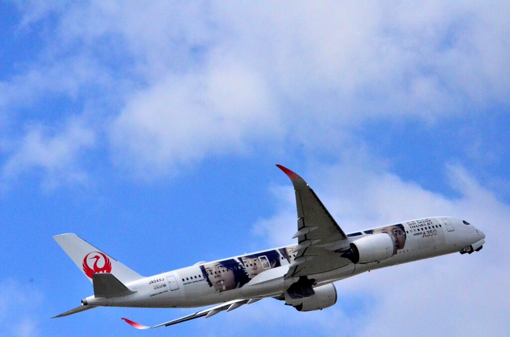 JAL JA04XJ