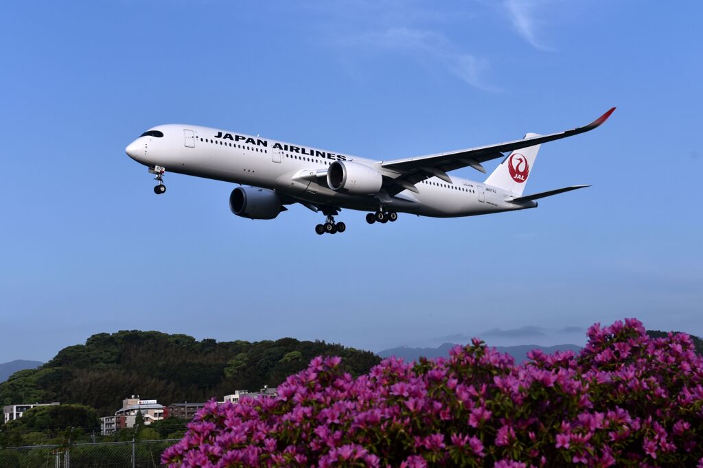JAL 577