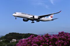 JAL 577