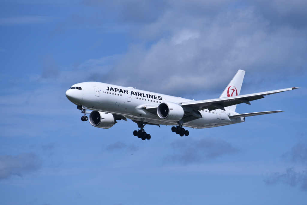 JAL 770