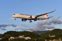 JAL 683
