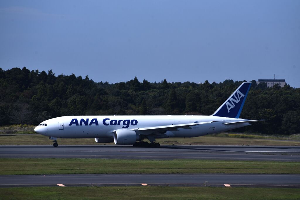 ANA 973