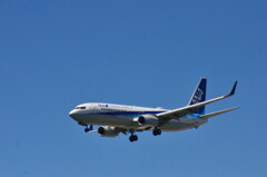 ANA 225