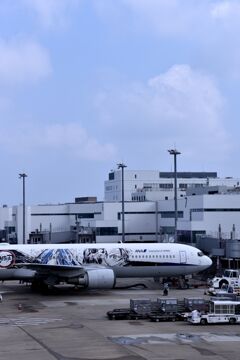 ANA 580
