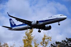 ANA 951