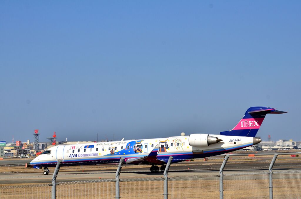 ANA 495
