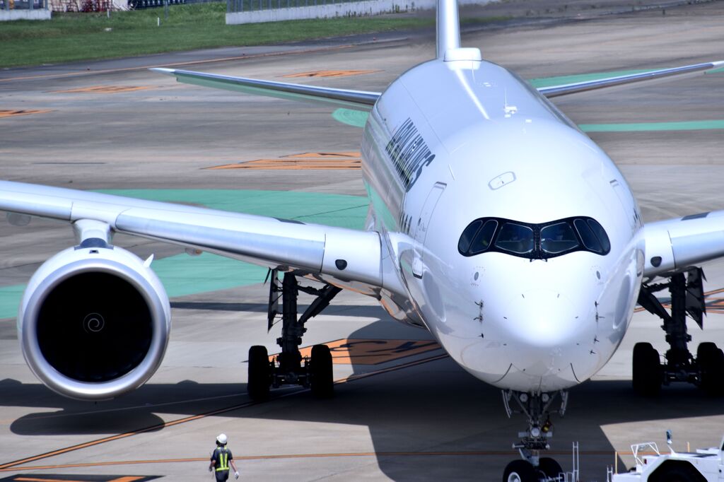 JAL 665
