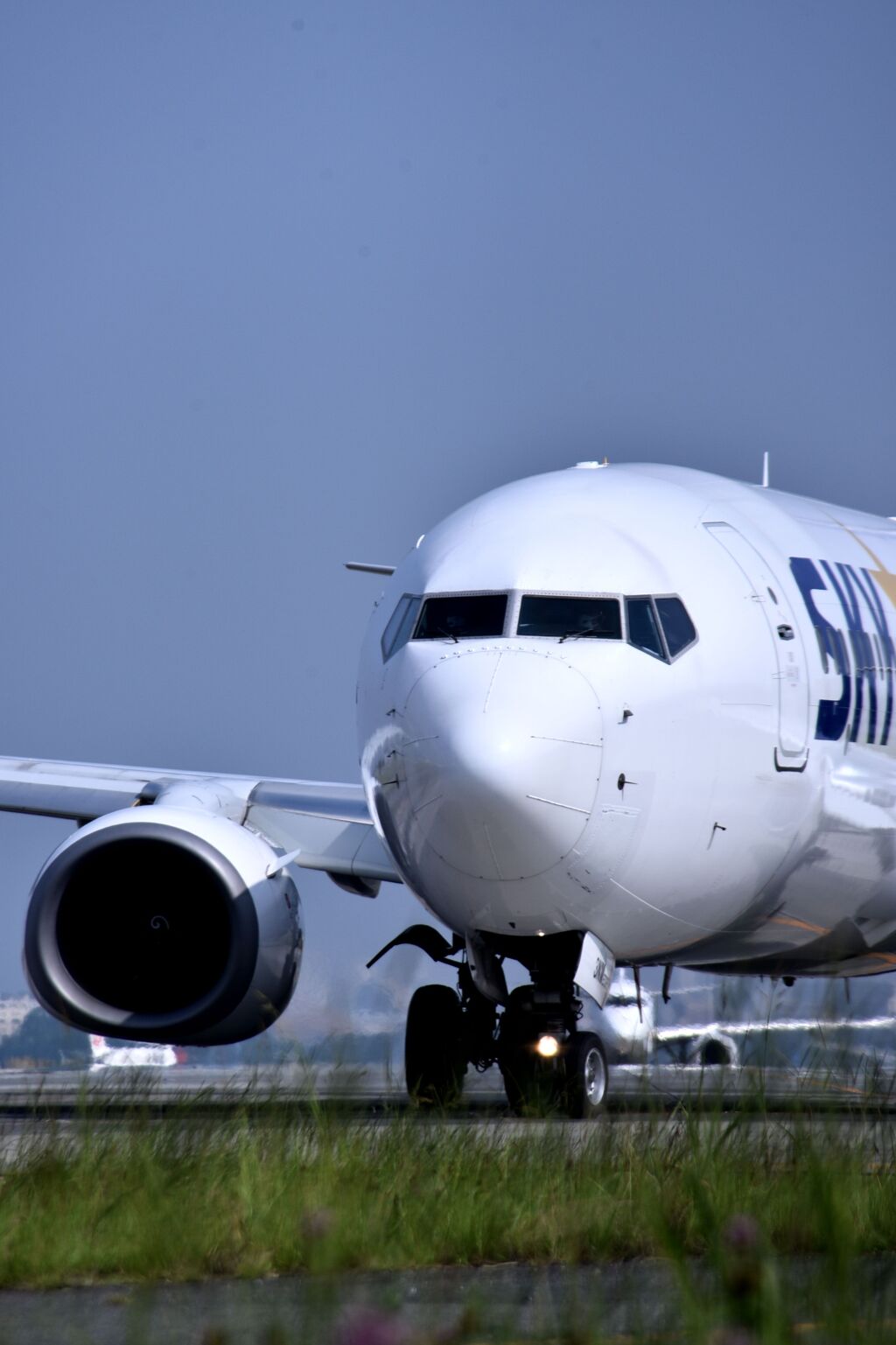 SKY 219