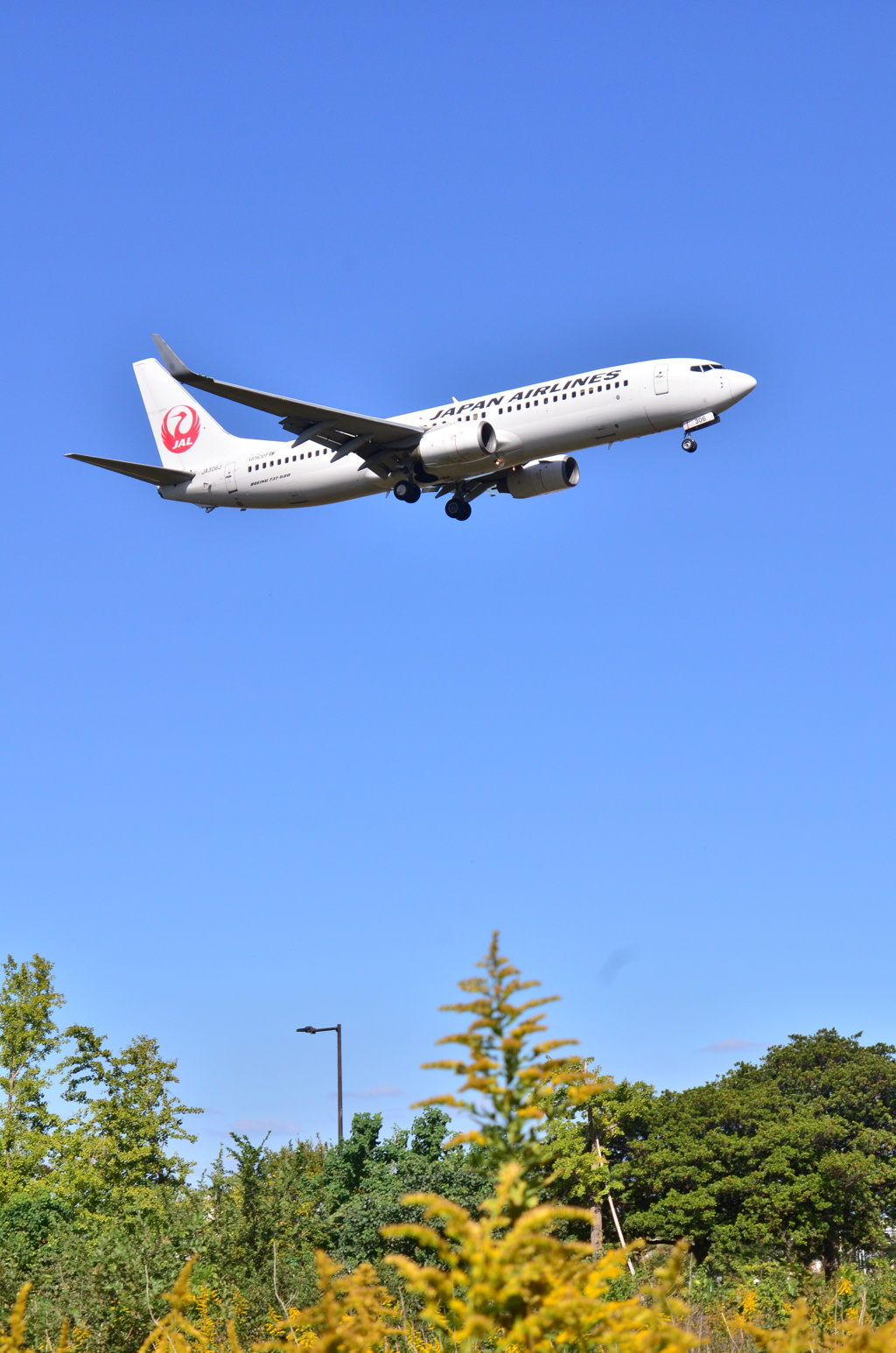 JAL 347