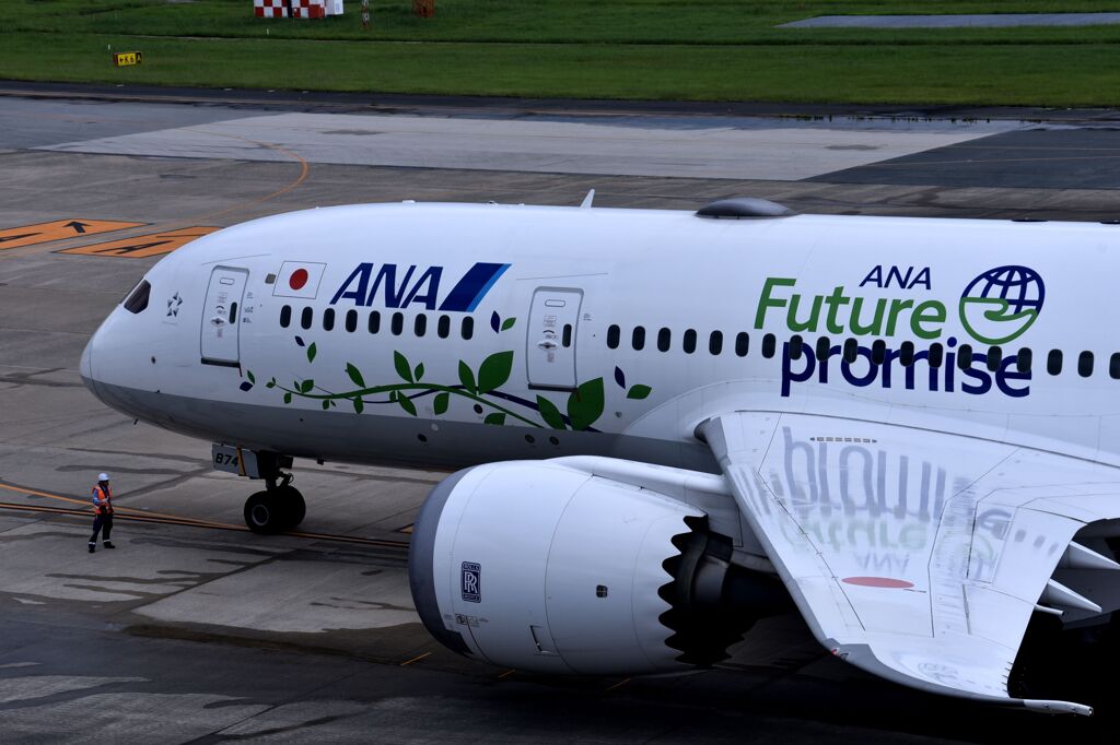 ANA 904