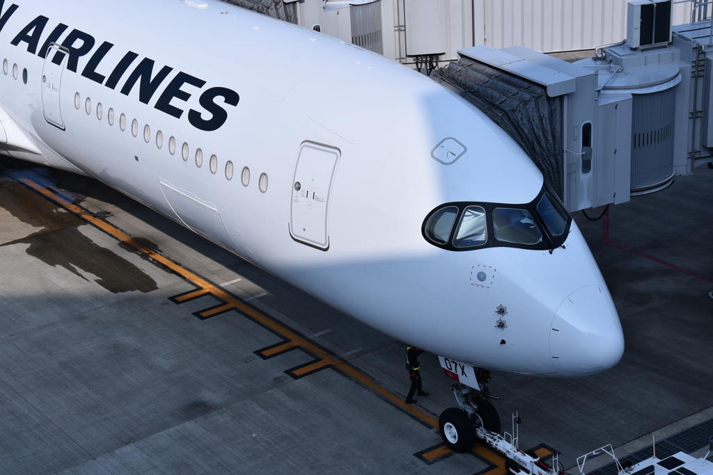JAL 1009
