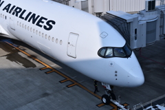 JAL 1009