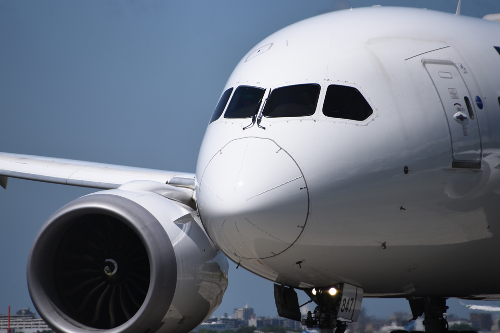 JAL 1256