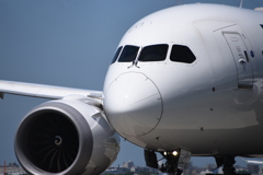 JAL 1256