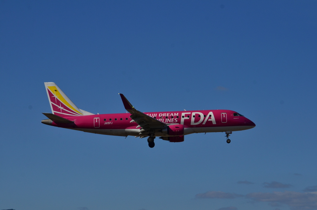 FDA 195