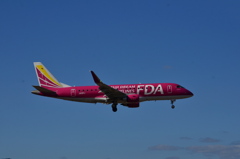 FDA 195