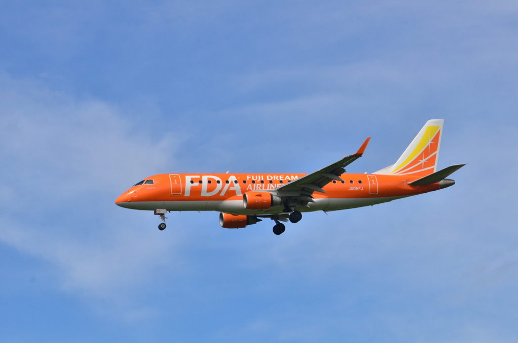 FDA 110