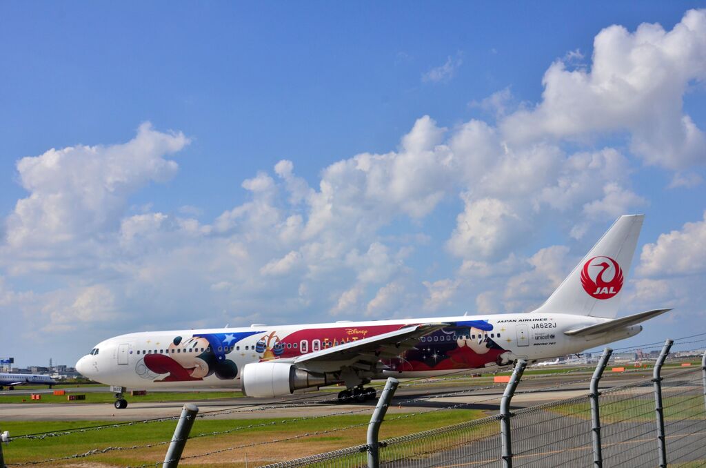 JAL 336  （特別塗装機）