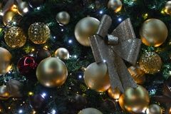 「我が街のツリー」04