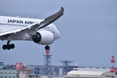 JAL 569