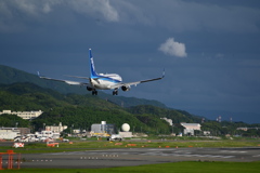 ANA 1293