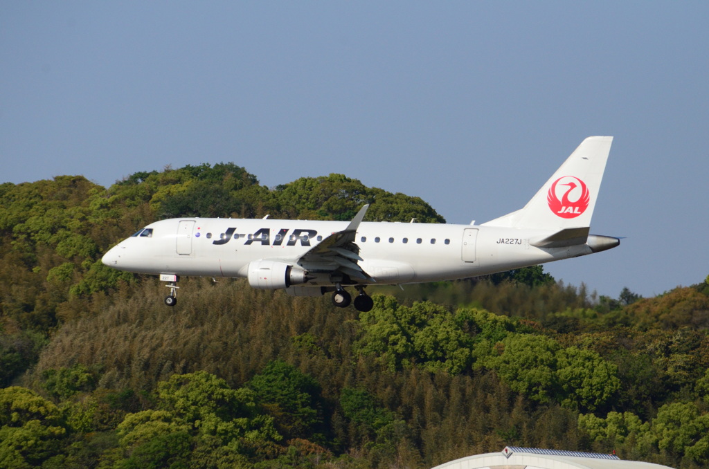JAL 08