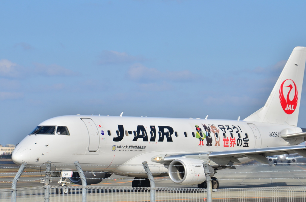 JAL 397