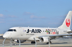 JAL 397